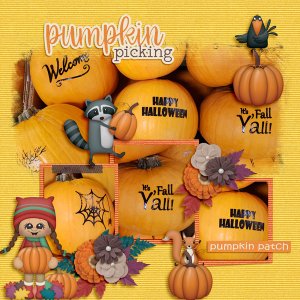 Pumpkin Picking