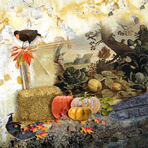 Fall Garden