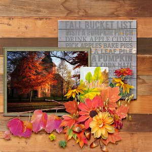 October in the Country