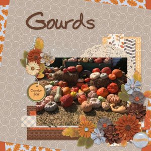 Gourds