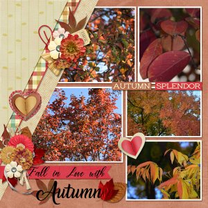 Fall in love with Autumn