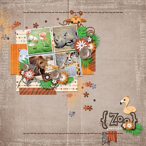Zoo Favorites