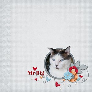 Mr Big