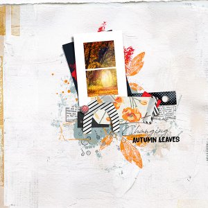 CHANGING AUTUMN LEAVES