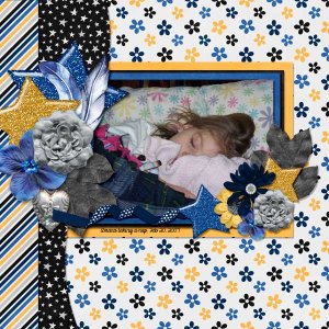 2007_feb_20_amanda_nap_web_cap_moonlit