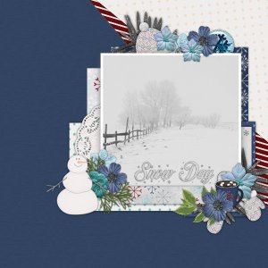 Snow_day8