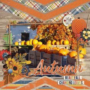 fall is in the air