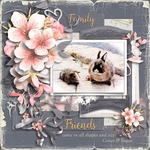 Friends come in all Shapes and Sizes