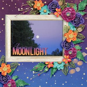 Summer-moonlight