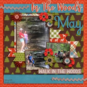 INTHEWOODS