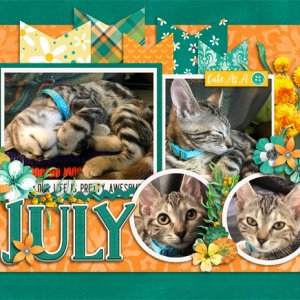 July 2019 Calendar