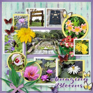 Amazing Blooms
