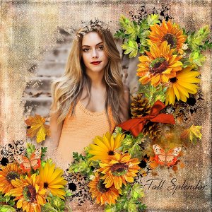 Fall Colors