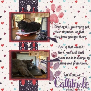 Cattitude