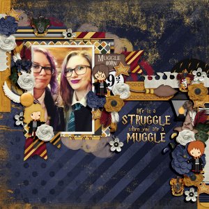 When you are a muggle...