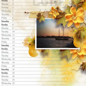 Calendar 2019