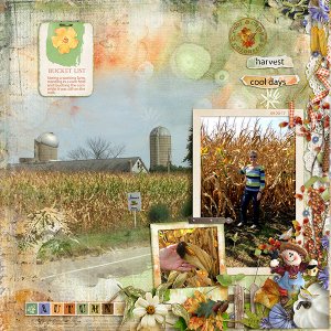 Corn Fields