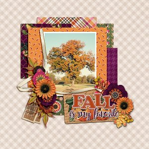 Fall Is My Favorite