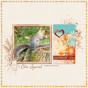 Squirrels in Autumn