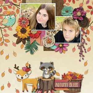 Woodland Fall