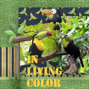 In living Color