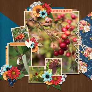 nature_s-beauty1