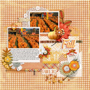 Fall at the Patch