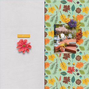 CMG_AutumnFresh_sgdsd2018