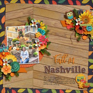 fallinnashville