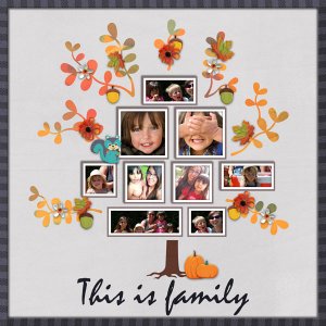 01-Plantes-Family