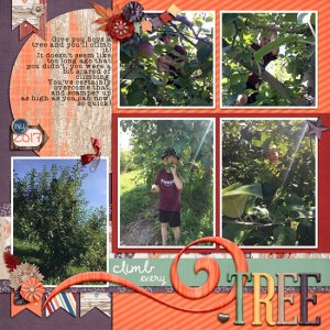 climbing_apple_trees