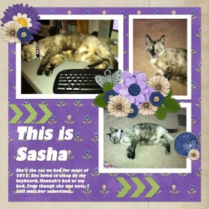 This is Sasha