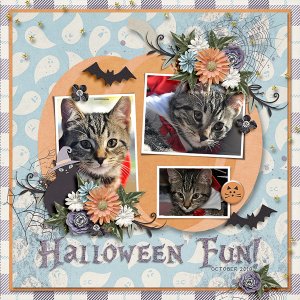 Halloween Fun