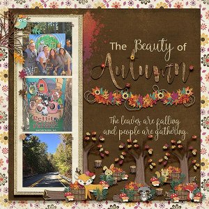 The Beauty of Autumn