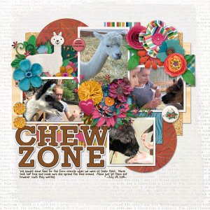 Chew Zone