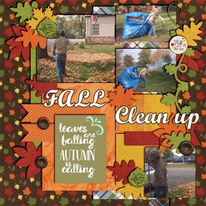 fall_cleanup