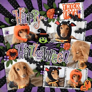 Happy Halloween