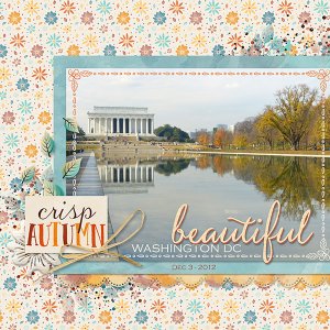Washington DC
