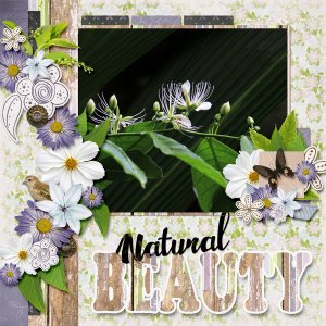 Natural beauty