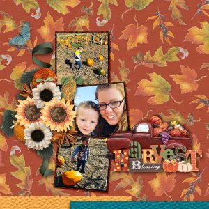Harvest Blessings