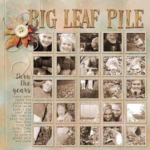 Big Leaf Pile