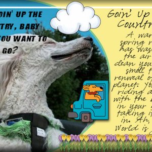 Goin' Up The Country