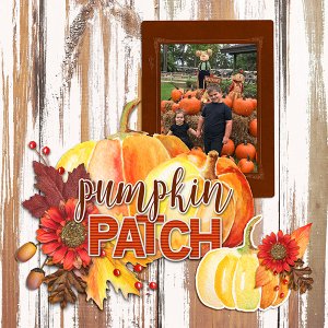 Pumpkin Patch