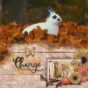 Cozy Autumn