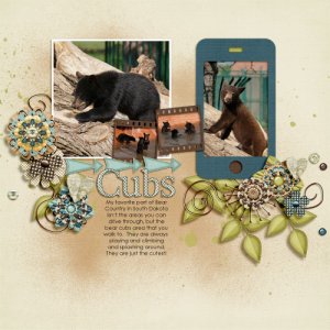 Bear Cubs