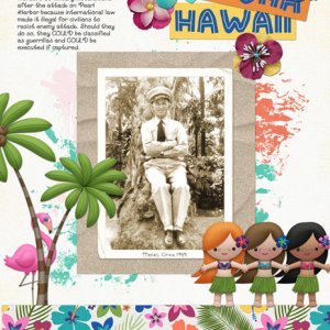 Aloha Hawaii