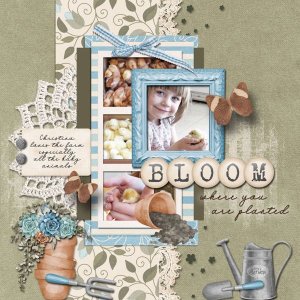 Bloom