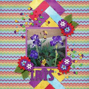 Iris