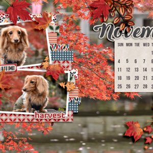 November 2018 Calendar
