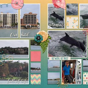 2015-12-24 Dolphins1-2 GiveMeAllThePhotos_Vol4-1
